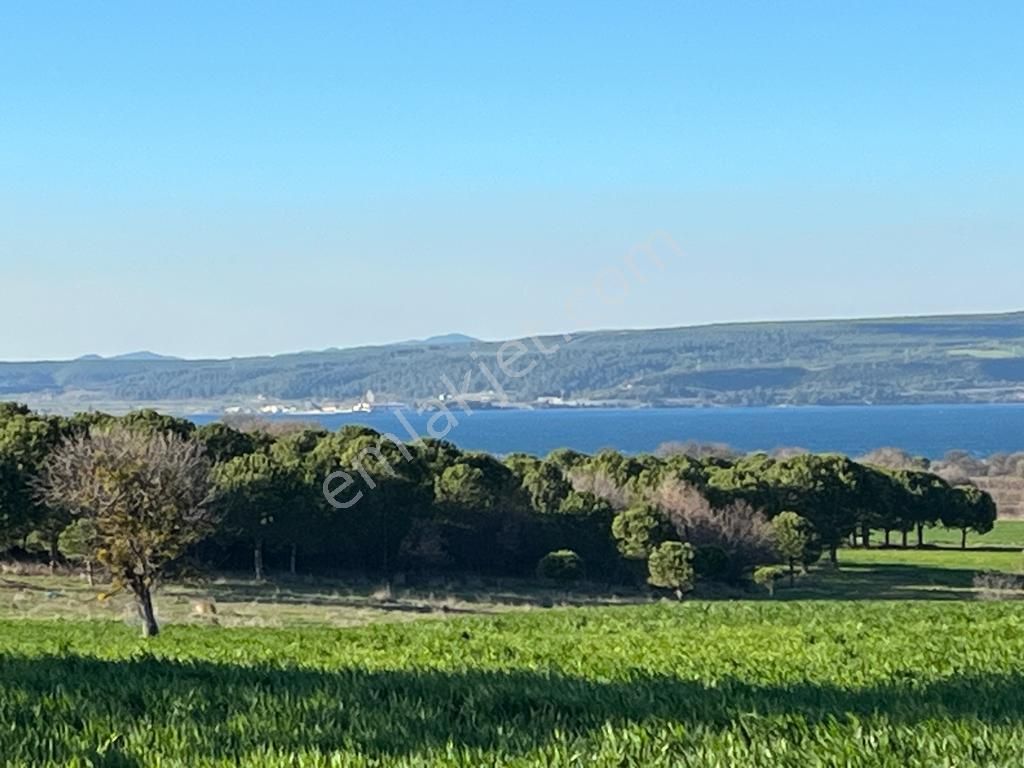 Çanakkale Merkez Karacaören Köyü Satılık Tarla  ÇANAKKALE'NİN GÖZDESİ KARACAÖREN'DE BOĞAZA VE GERDANLIĞINA KARŞI ŞAHANE ARAZİ