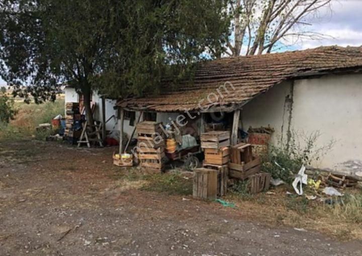 Suluova Salucu Köyü Satılık Arazi Yıldız Emlak tan Satılık 8 dönüm meyve bahçesi 