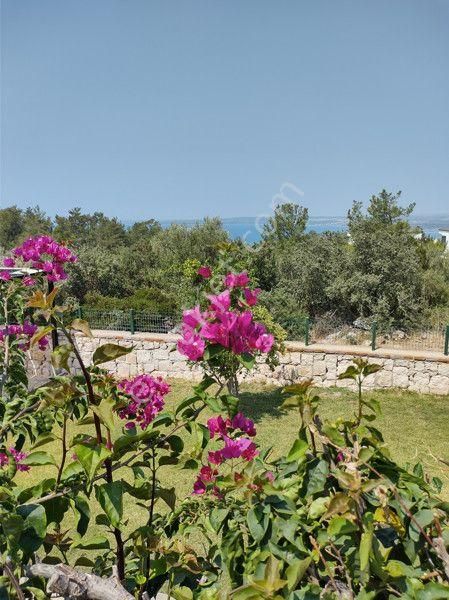 Muhteşem Deniz Manzarası İle 4+1 Yazlığımız Acil Satılık - Görsel 3