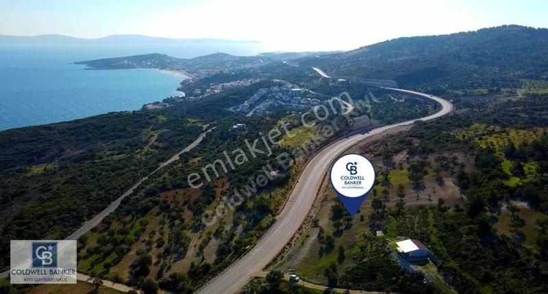 Karaburun Mordoğan Azmak'ta Deniz Manzaralı Yola Cepheli Tarla - Görsel 7