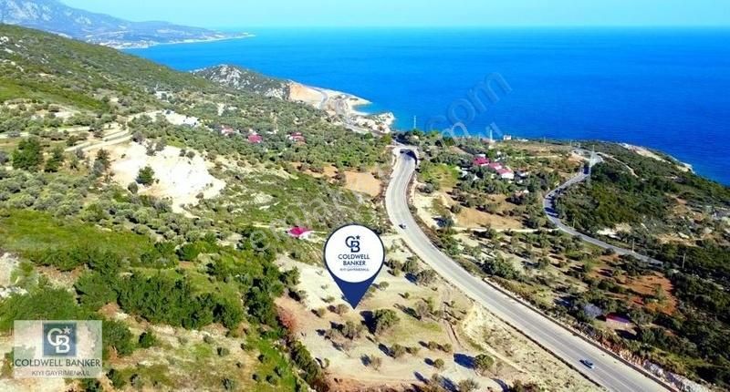 Karaburun Mordoğan Azmak'ta Deniz Manzaralı Yola Cepheli Tarla - Görsel 8