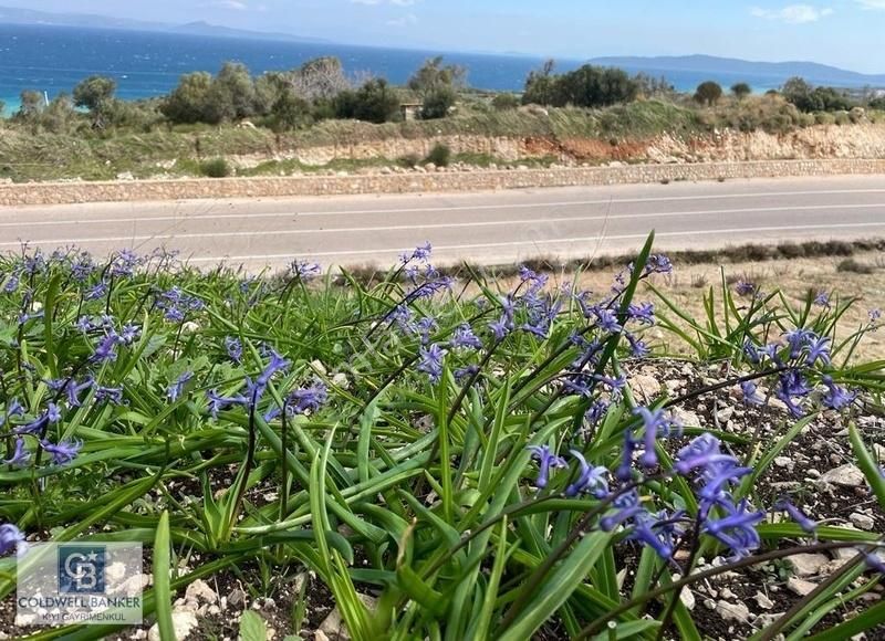 Karaburun Mordoğan Azmak'ta Deniz Manzaralı Yola Cepheli Tarla - Görsel 5