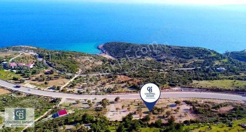 Karaburun Mordoğan Satılık Tarla Karaburun Mordoğan Azmak'ta Deniz Manzaralı Yola Cepheli Tarla