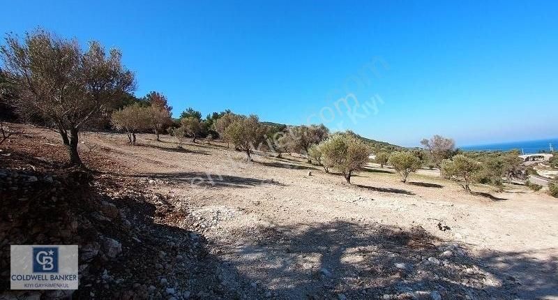 Karaburun Mordoğan Azmak'ta Deniz Manzaralı Yola Cepheli Tarla - Görsel 16