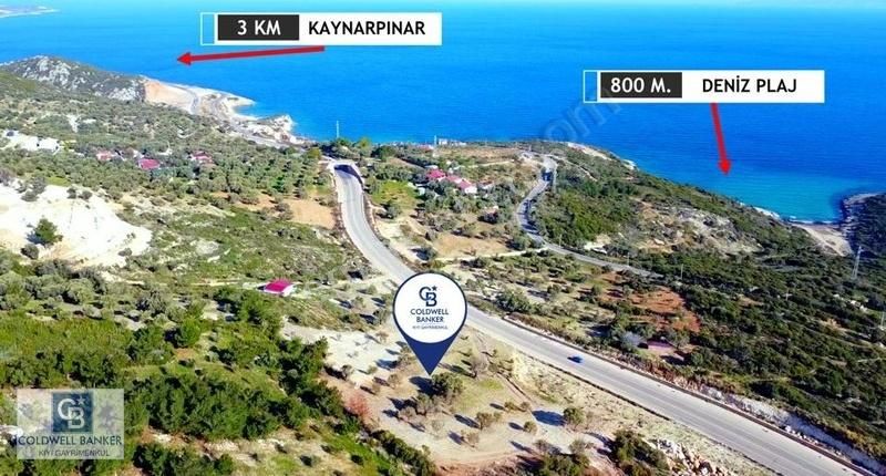 Karaburun Mordoğan Azmak'ta Deniz Manzaralı Yola Cepheli Tarla - Görsel 6