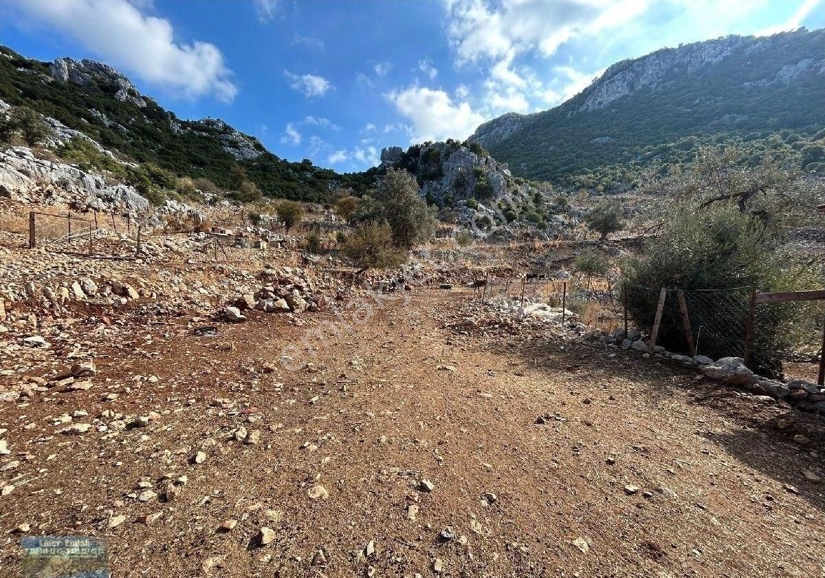 Marmaris Selimiye Satılık Tarla Marmaris lider Emlak selimiye den kızılkoyde satılık yol cepheli tarla