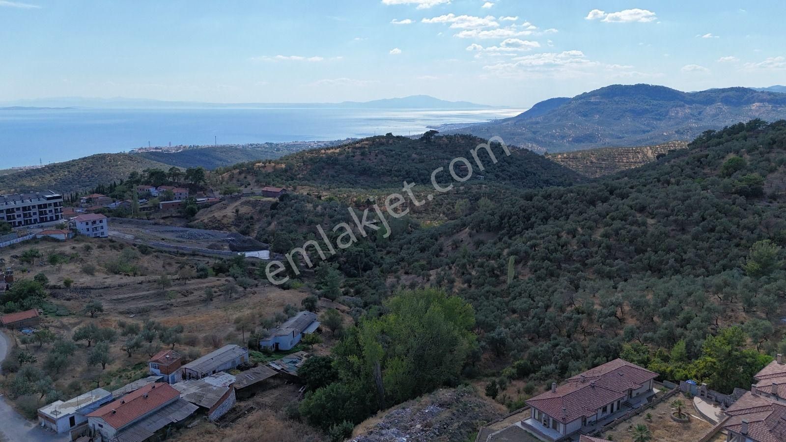 Altınoluk Narlı 3+1 Taş Ev - Görsel 34