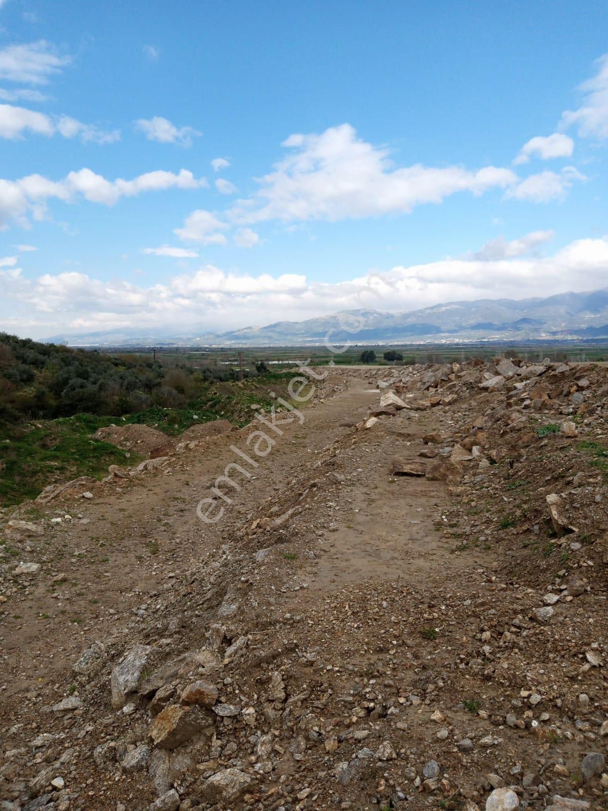 Aydın Yenipazar Donduranda Satılık Zeytinlik - Görsel 19
