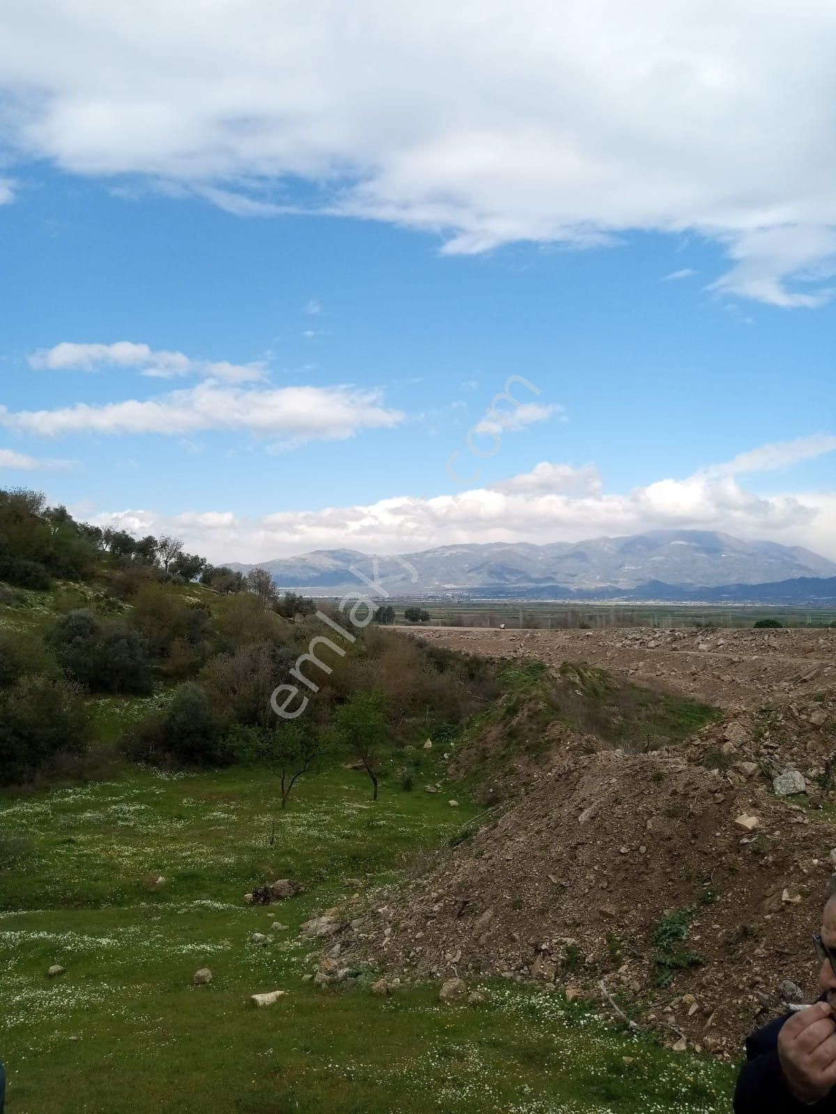 Aydın Yenipazar Donduranda Satılık Zeytinlik - Görsel 7