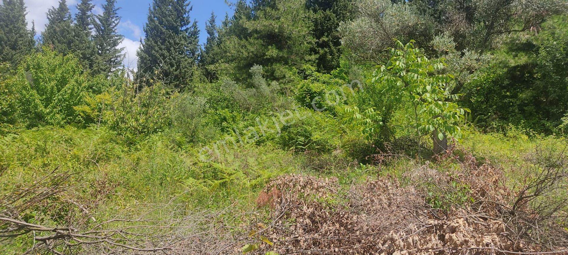 Gölcük Ulaşlı Yavuz Sultan Selim Satılık Villa İmarlı  Ulaşlı'da Panaromik Deniz Manzaralı Vİlla İmarlı Arsa