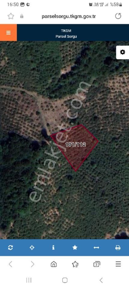 Sakarya Adapazarı Kandıra Yatırımlık Fındıklık Yolu Suyu Mevcut - Görsel 2