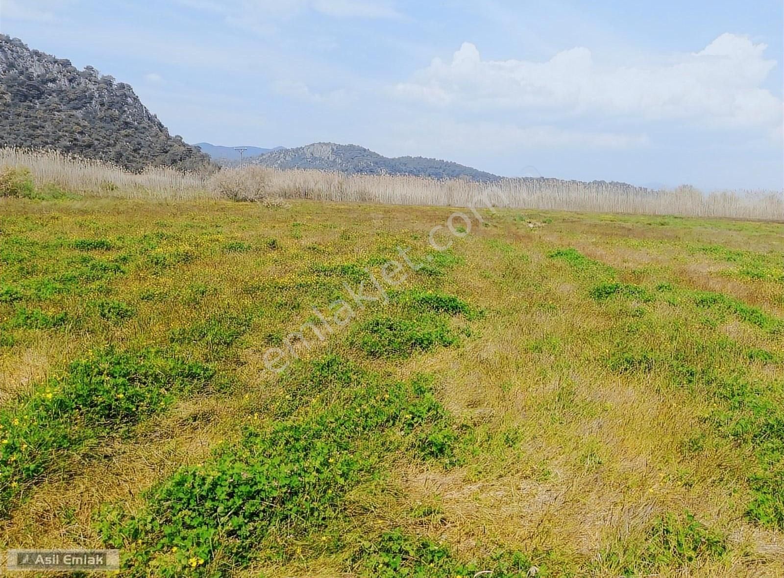 Asil Emlaktan Güzelyurt Akdoğan Da Satılık Tarla - Görsel 35
