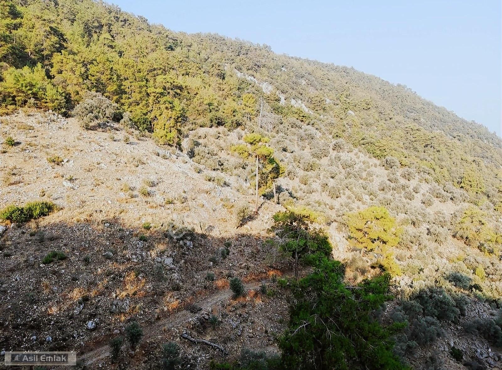 Asil Emlaktan Göcek Gökçeovacıkta Satılık Tarla - Görsel 14