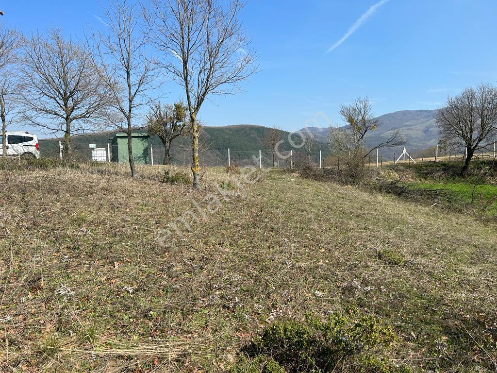 Kocaeli Karamürsel Fulacık 4432 M² %5 İmarlı Kaçmaz Satılık Tarla - Görsel 4