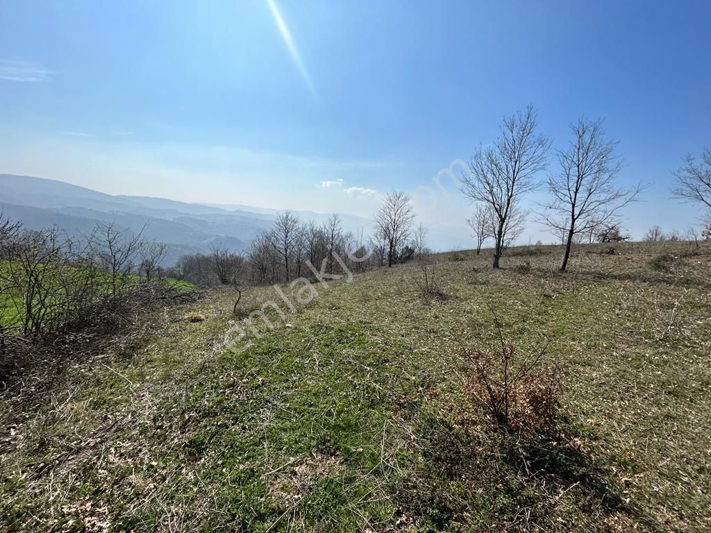 Kocaeli Karamürsel Fulacık'da 4432 M2 %5 İmarlı Satılık Tarla