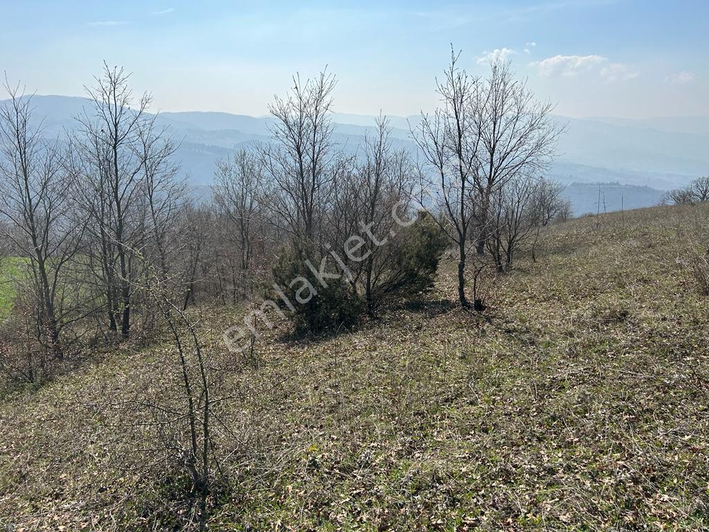 Kocaeli Karamürsel Fulacık 4432 M² %5 İmarlı Kaçmaz Satılık Tarla - Görsel 7