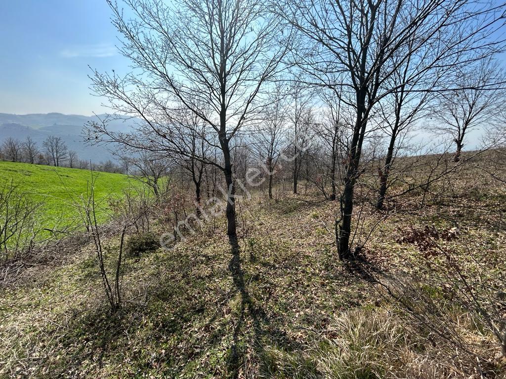 Kocaeli Karamürsel Fulacık 4432 M² %5 İmarlı Kaçmaz Satılık Tarla - Görsel 9