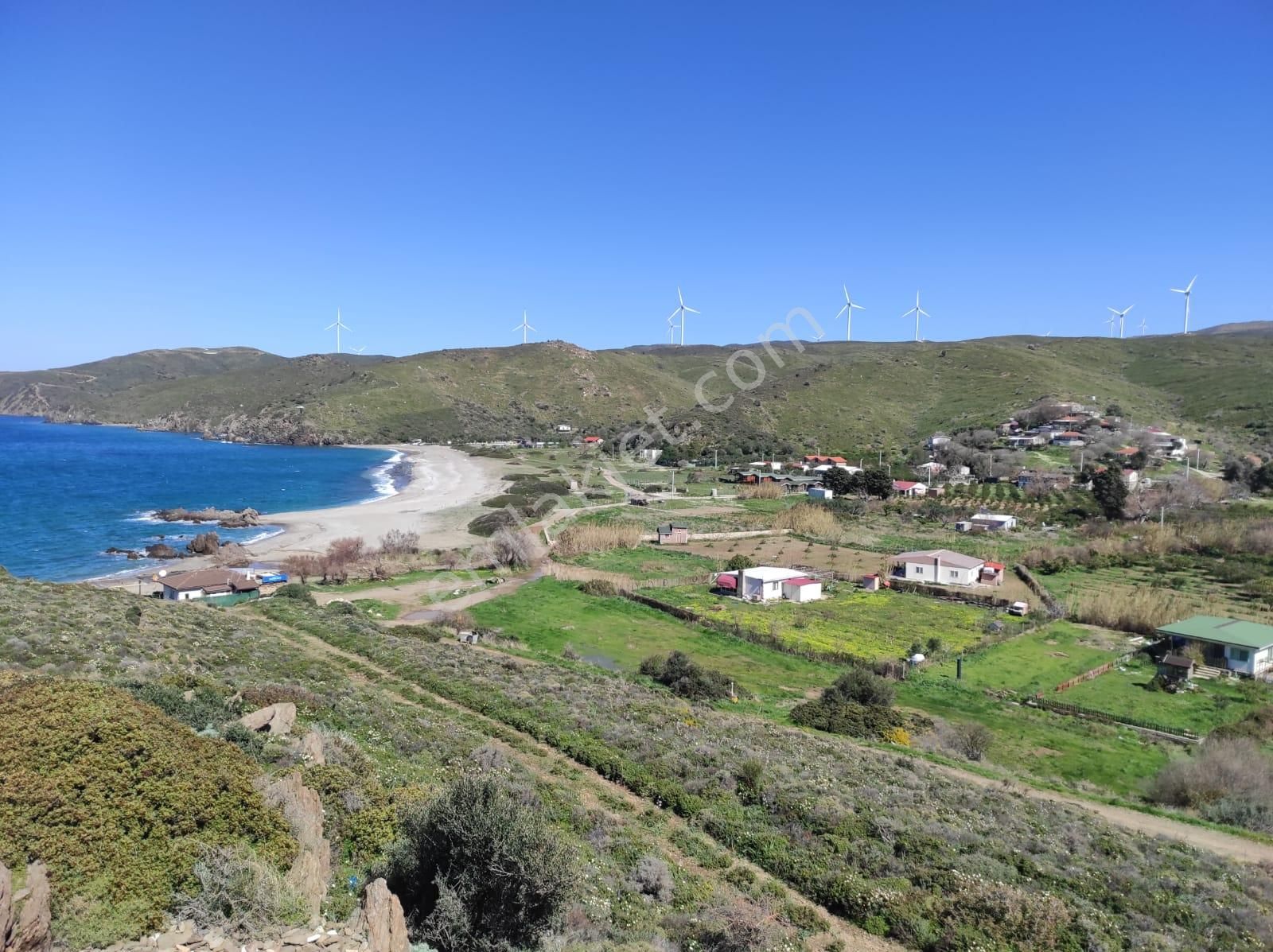 Karaburun Parlak Satılık Tarla İzmir Karaburun Parlak Badembükü 'nde Deniz Kıyısı Tarla