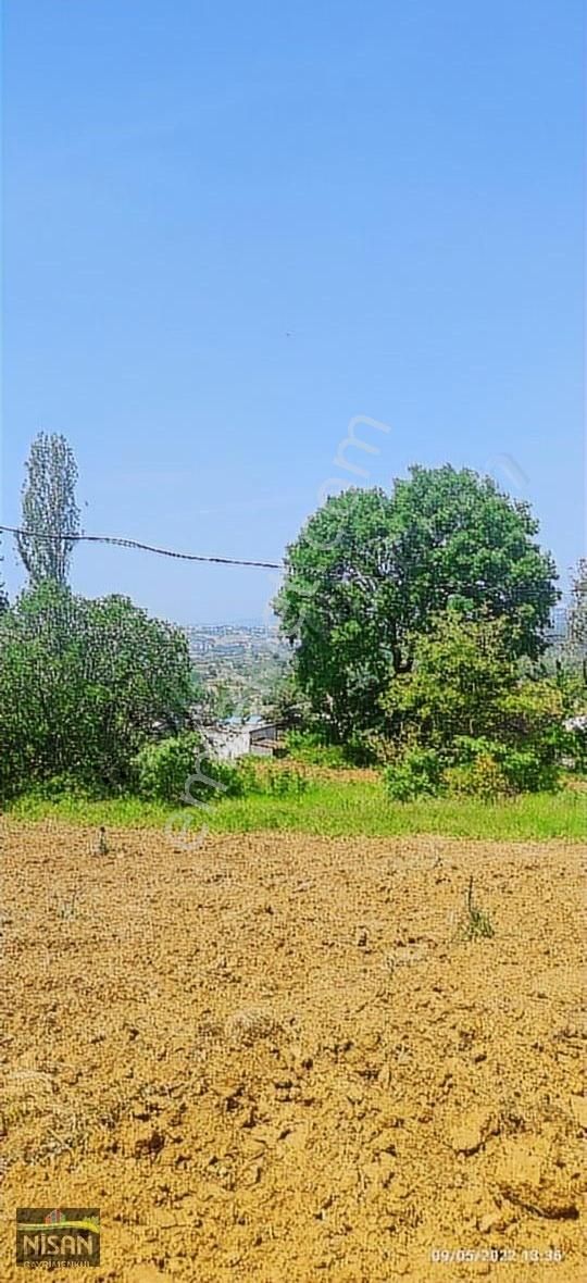 Bursa Nilüfer Tahtalı Satılık 1098 M2 Hisse Bağ Bahçe - Görsel 14