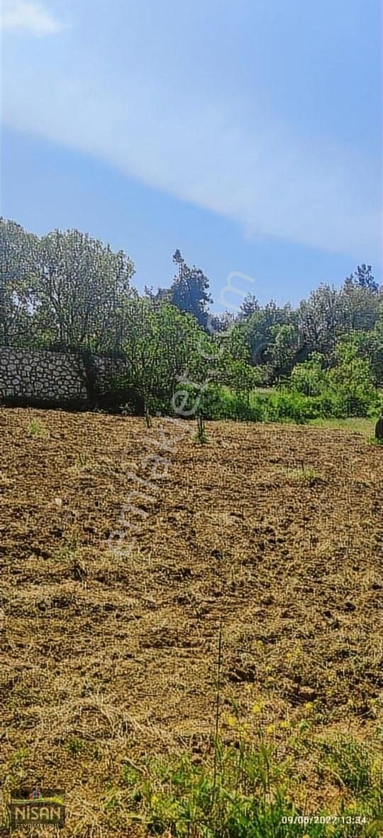 Bursa Nilüfer Tahtalı Satılık 1098 M2 Hisse Bağ Bahçe - Görsel 11