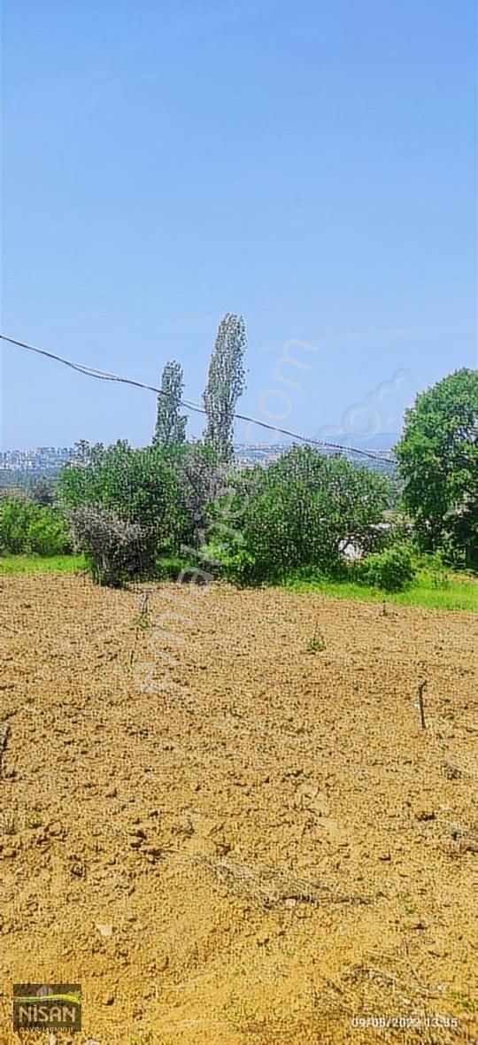 Bursa Nilüfer Tahtalı Satılık 1098 M2 Hisse Bağ Bahçe - Görsel 15
