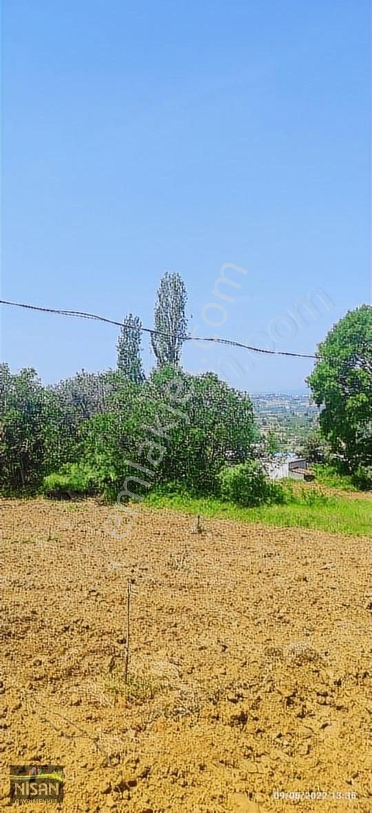 Bursa Nilüfer Tahtalı Satılık 1098 M2 Hisse Bağ Bahçe - Görsel 5