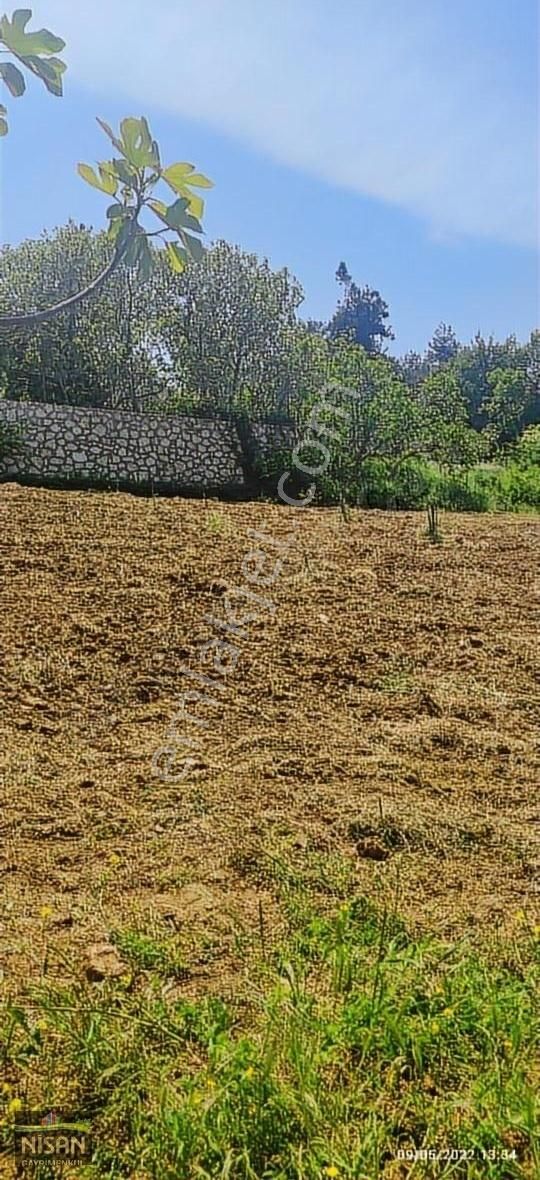 Bursa Nilüfer Tahtalı Satılık 1098 M2 Hisse Bağ Bahçe - Görsel 18
