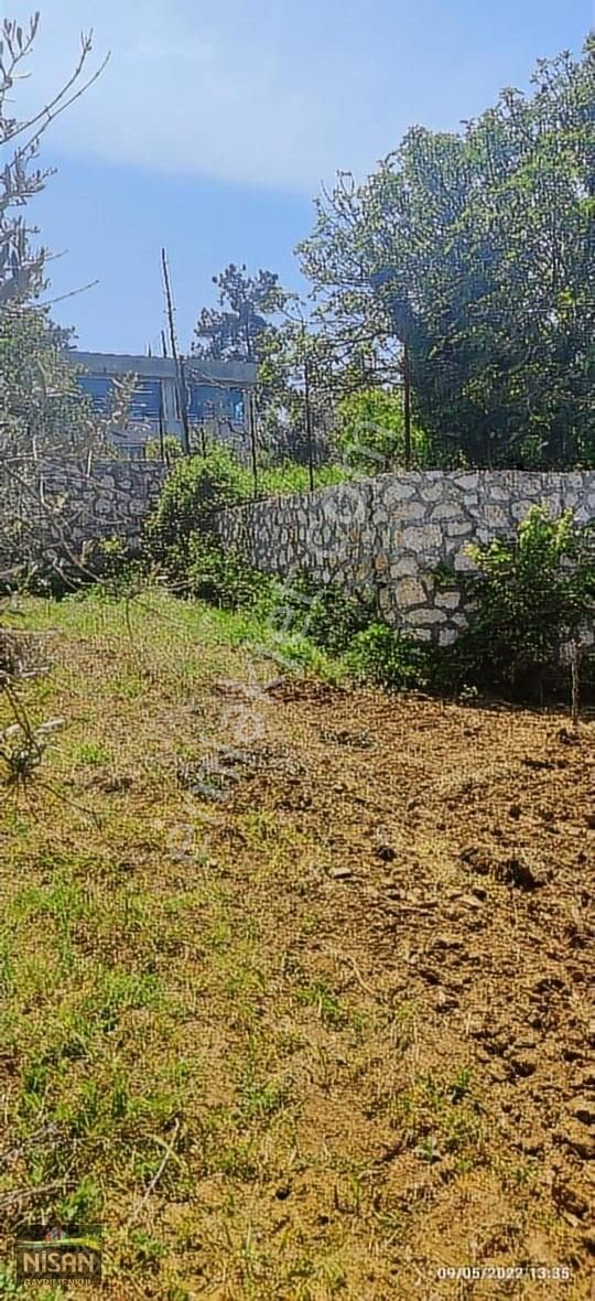 Bursa Nilüfer Tahtalı Satılık 1098 M2 Hisse Bağ Bahçe - Görsel 16