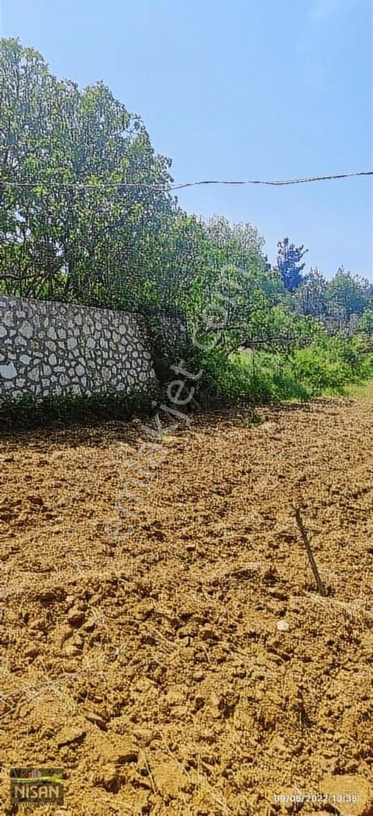Bursa Nilüfer Tahtalı Satılık 1098 M2 Hisse Bağ Bahçe - Görsel 21