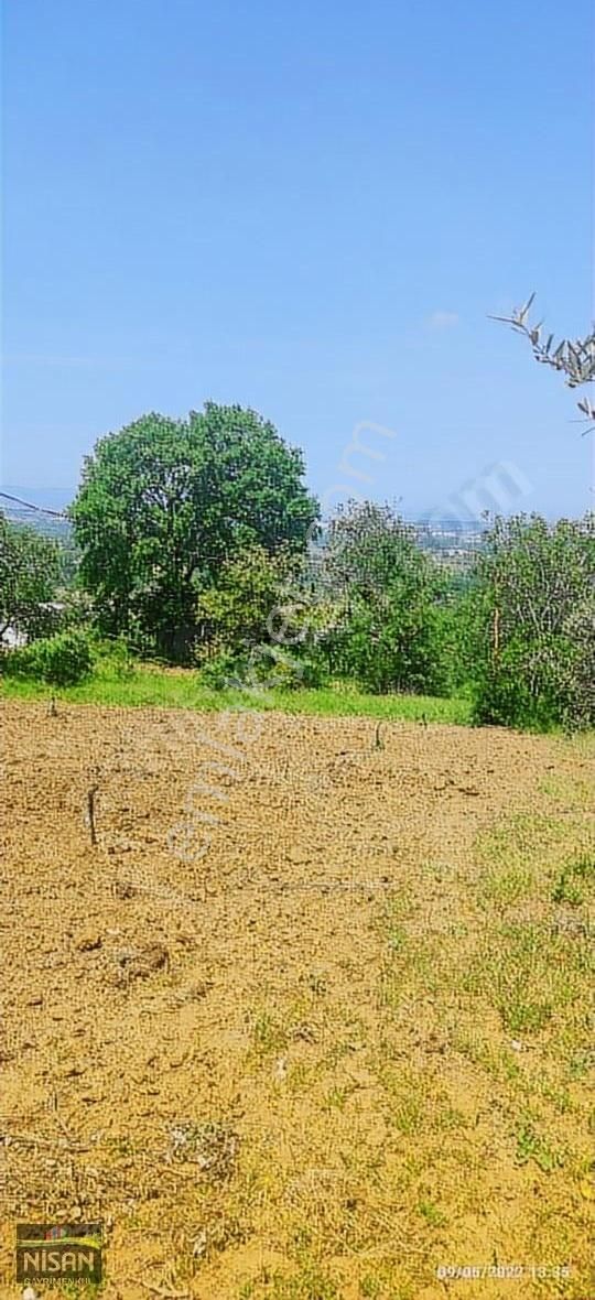 Bursa Nilüfer Tahtalı Satılık 1098 M2 Hisse Bağ Bahçe - Görsel 22