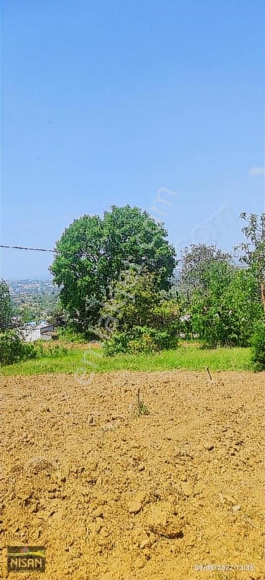 Bursa Nilüfer Tahtalı Satılık 1098 M2 Hisse Bağ Bahçe - Görsel 4