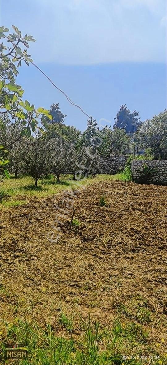 Bursa Nilüfer Tahtalı Satılık 1098 M2 Hisse Bağ Bahçe - Görsel 10