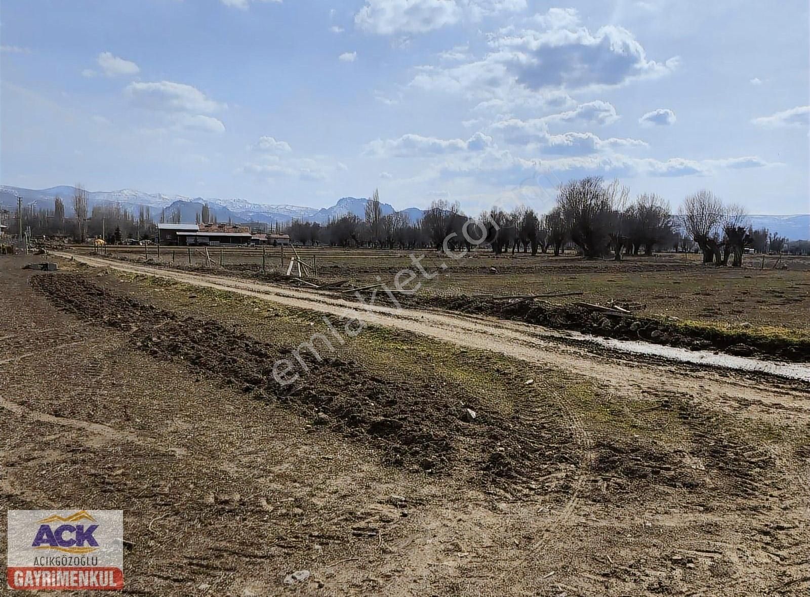 Sinanpaşa Boyalı Köyü Satılık Tarla BOYALI'DA;YANYANA,3 ADET,1172 M2,ANAYOLA YAKIN BAHÇE