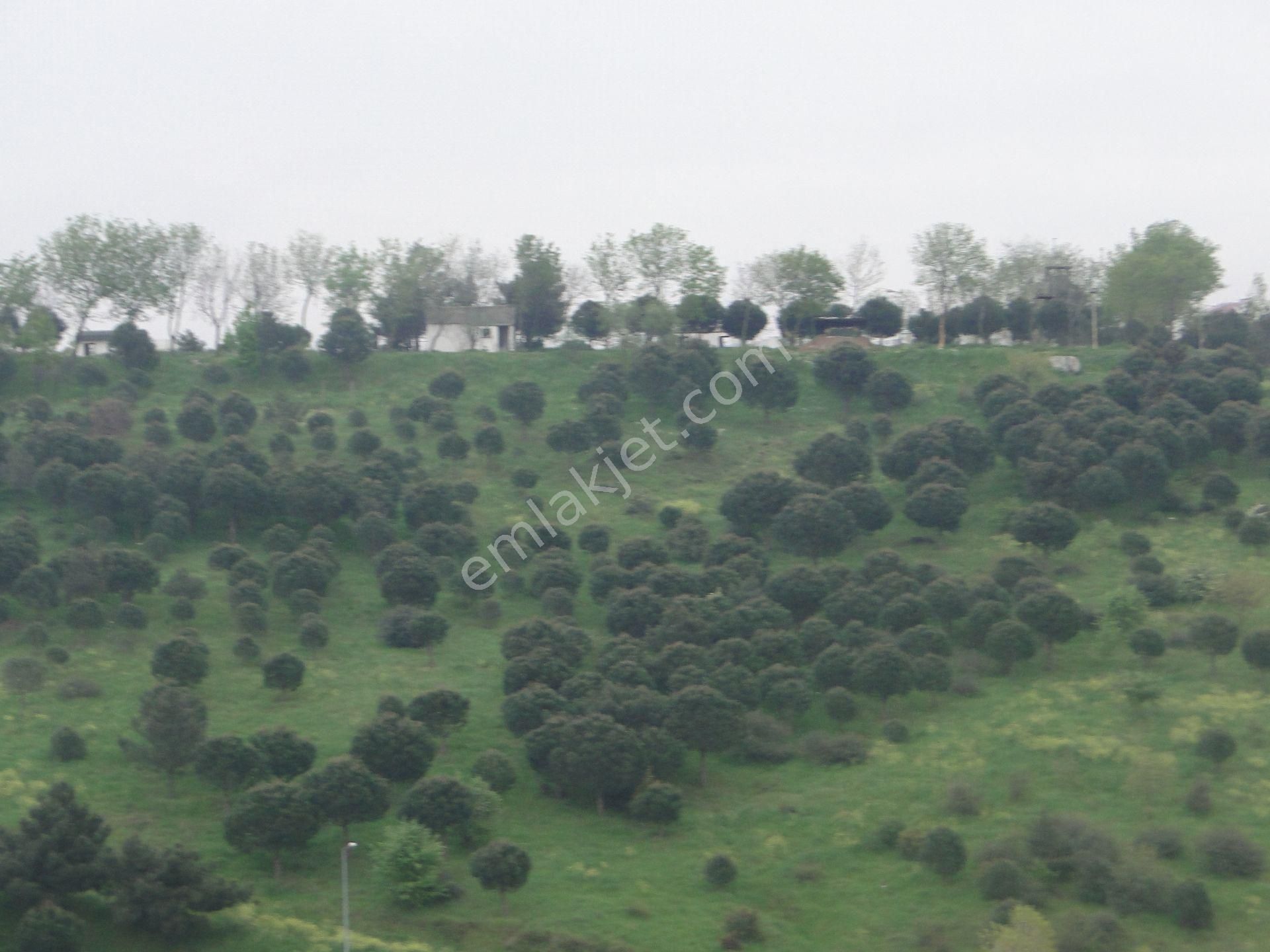 Ataşehir İçerenköy Satılık Daire İçerenköyde Semt Pazarına Yakın İki Daire Şeklinde Dubleks Ferah