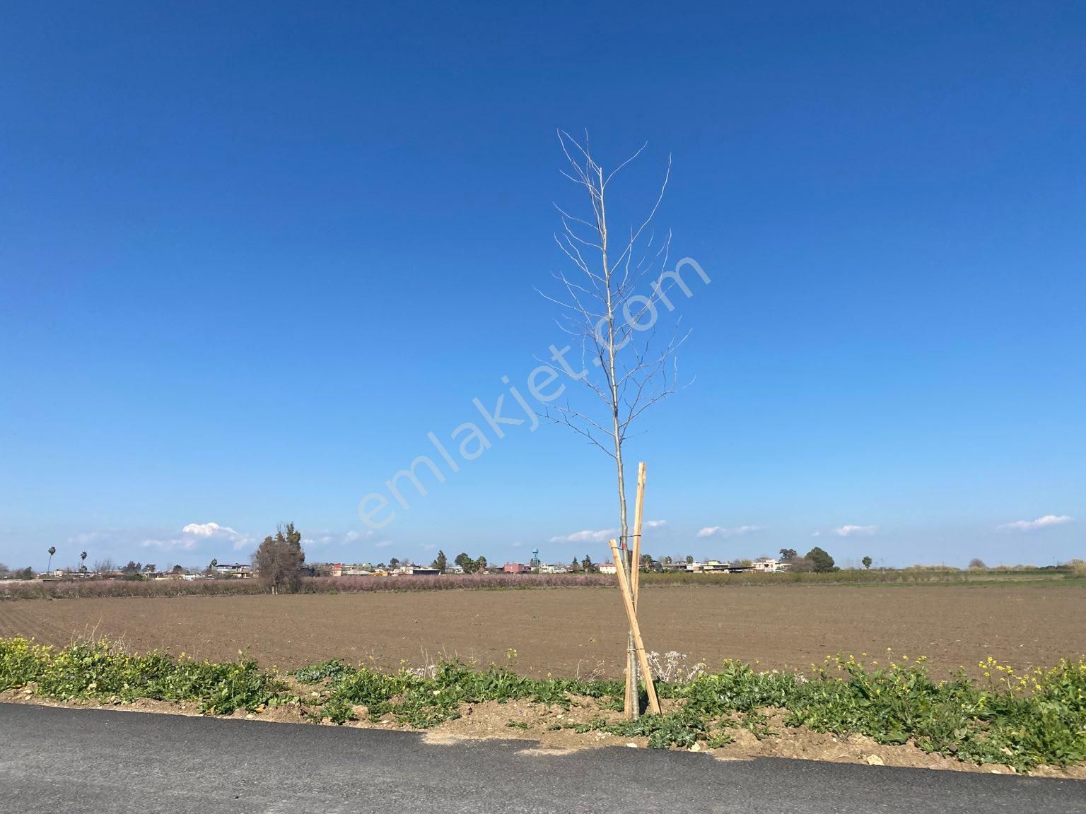 Tarsus Kargılı Satılık Muhtelif Arsa Tarsus Çukurova Bölgesel Hava Alanı Yolu Cepheli Satılık Arsa