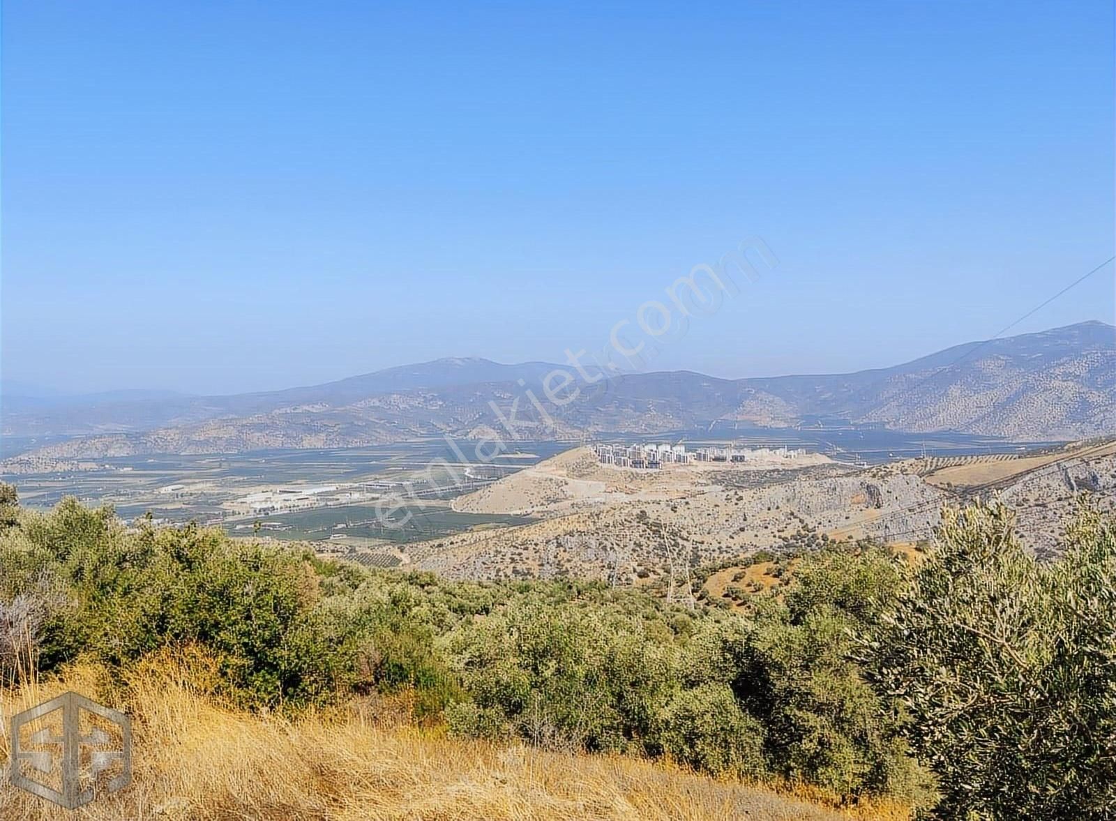 İzmir Selçuk Şirince Mevkii'nde 1.300 M2 Satılık Zeytinlik... - Görsel 6