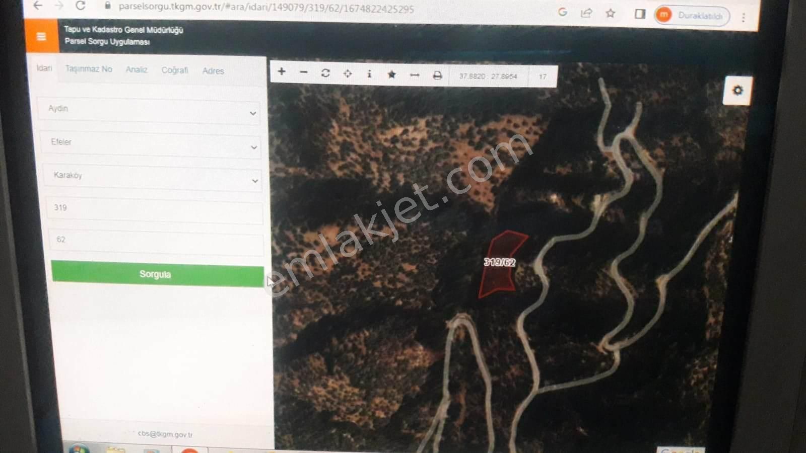 Son Bir Hafta Aydın Karakoy Yolu Uzeri Zeytinlik