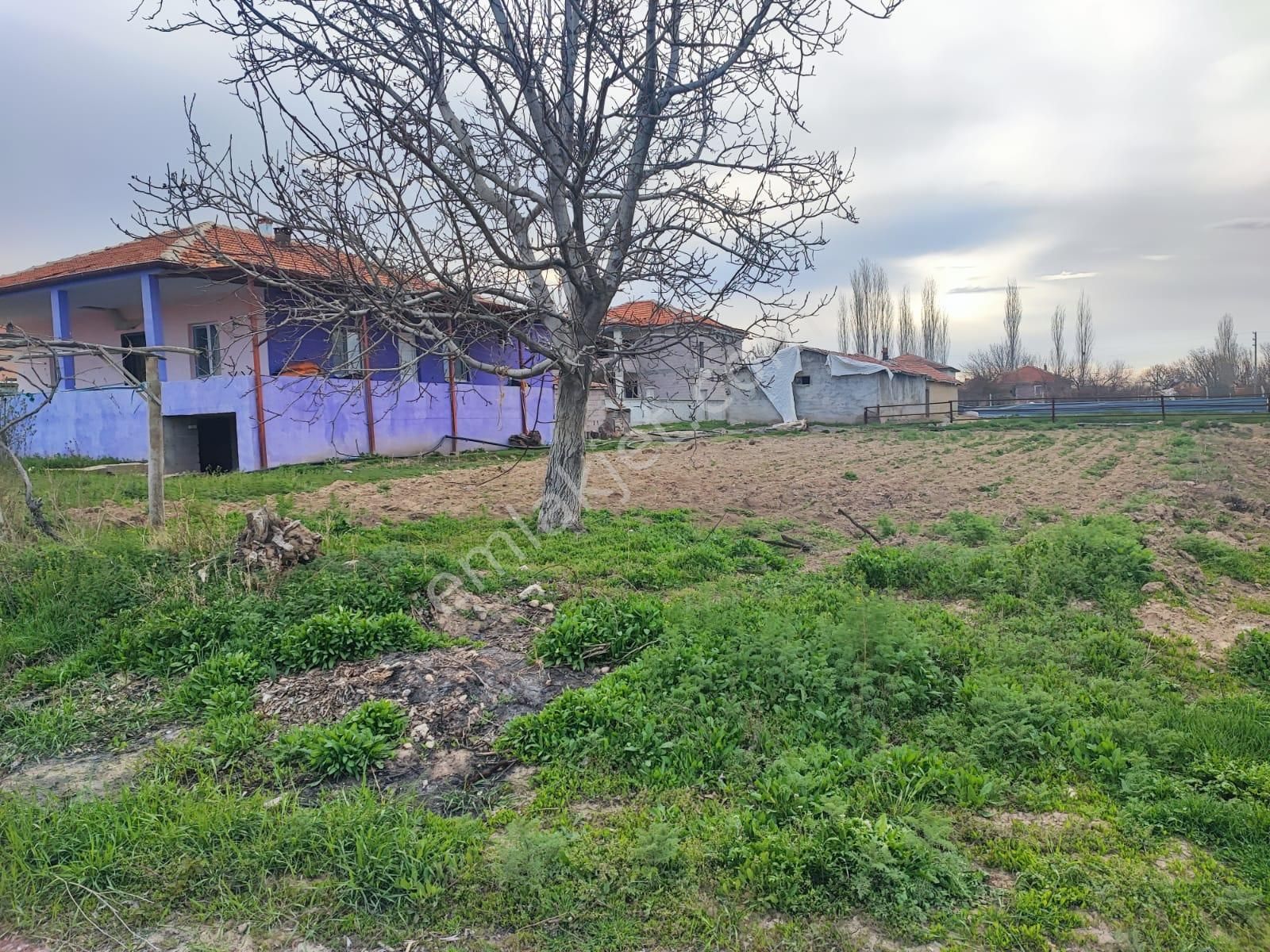 Ereğli Belceağaç Satılık Müstakil Ev  Belceağaçta 6 Evlek Tarla İçinde Ahırlı Satılık Müstakil Ev