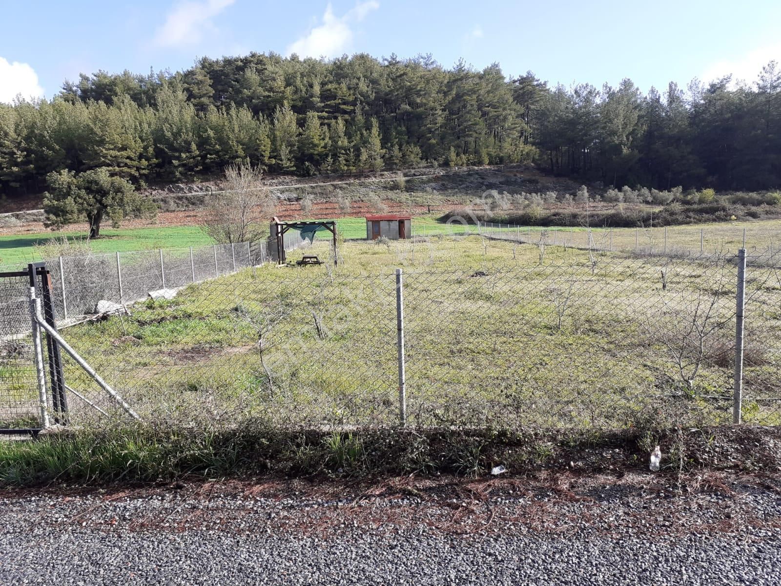 Menteşe Yerkesik Satılık Tarla Muğla Menteşe Yerkesik Te Yatırımlık Ana Yola Sıfır Satılık Yer