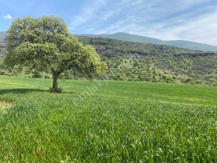 Salihli Gökçeköy Satılık Tarla Satilik Arazi Gokcekoyde