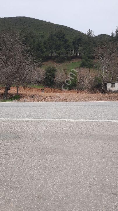 Bahçe İslam Satılık Bağ & Bahçe Osmaniye, Antep Yoluna Sıfır