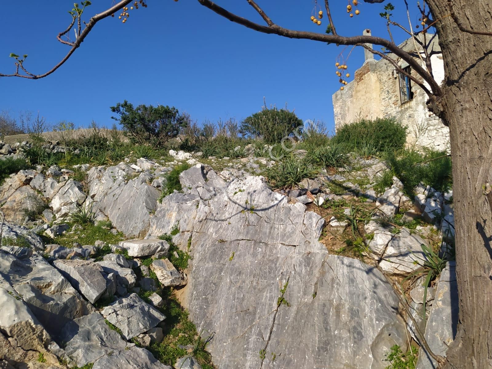 Serçin Köyü Söke De Satılık Eski Ev Ve Arsası - Görsel 12