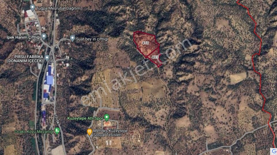 Nazilli Ocaklı Mahallesinde Satılık Zeytin Ve İncir Bahçesi 22.840 M2 - Görsel 2