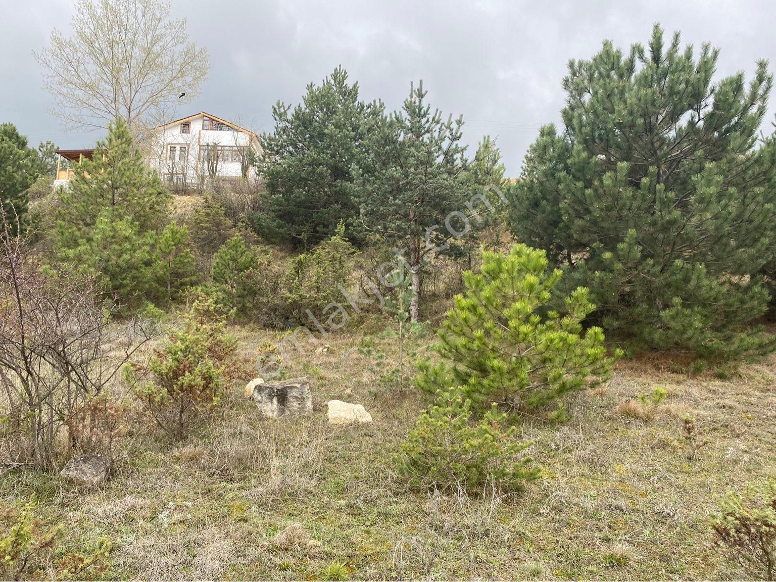 Kastamonu Merkez Mehmet Akif Ersoy Satılık Konut İmarlı EFE GAYRİMENKUL’DEN KASTAMONU MERKEZ MEHMET AKİF DE KONUT İMARLI ARSA