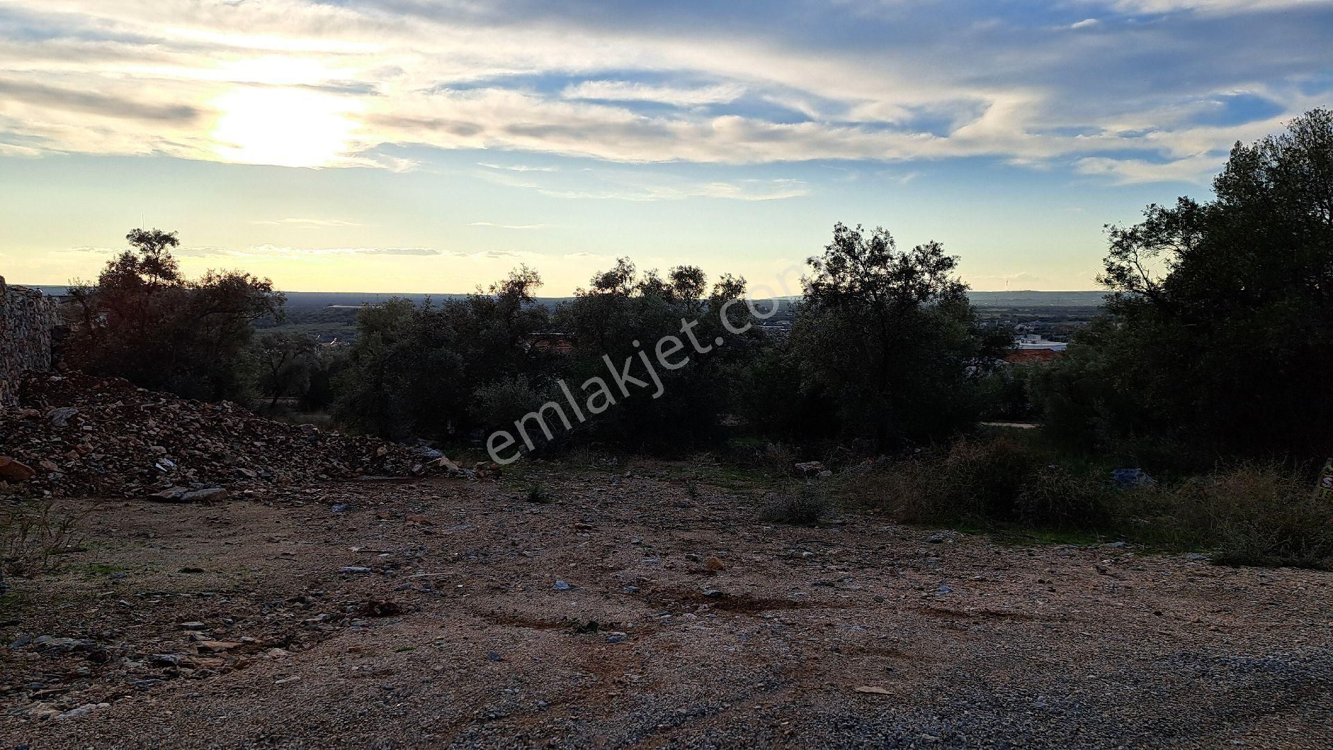 Didim Ak Yeniköy Satılık Konut İmarlı Guzel Konumda Kupon Arsa