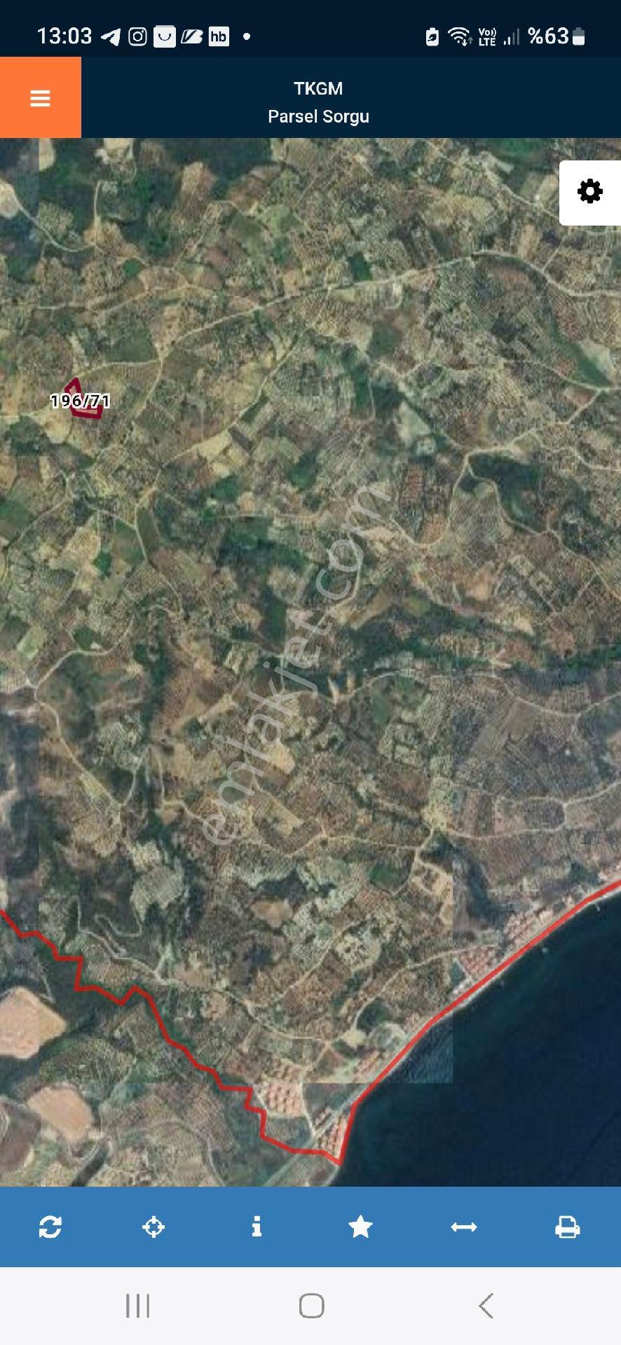 Deniz Manzaralı Kiraz Bahçesi - Görsel 13