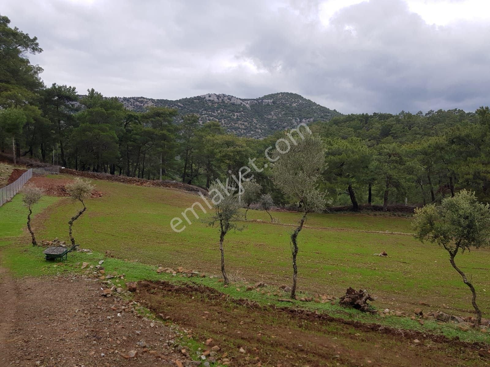 Muğla Ortaca Gökbel Mh De 3580m2 Tarla - Görsel 5