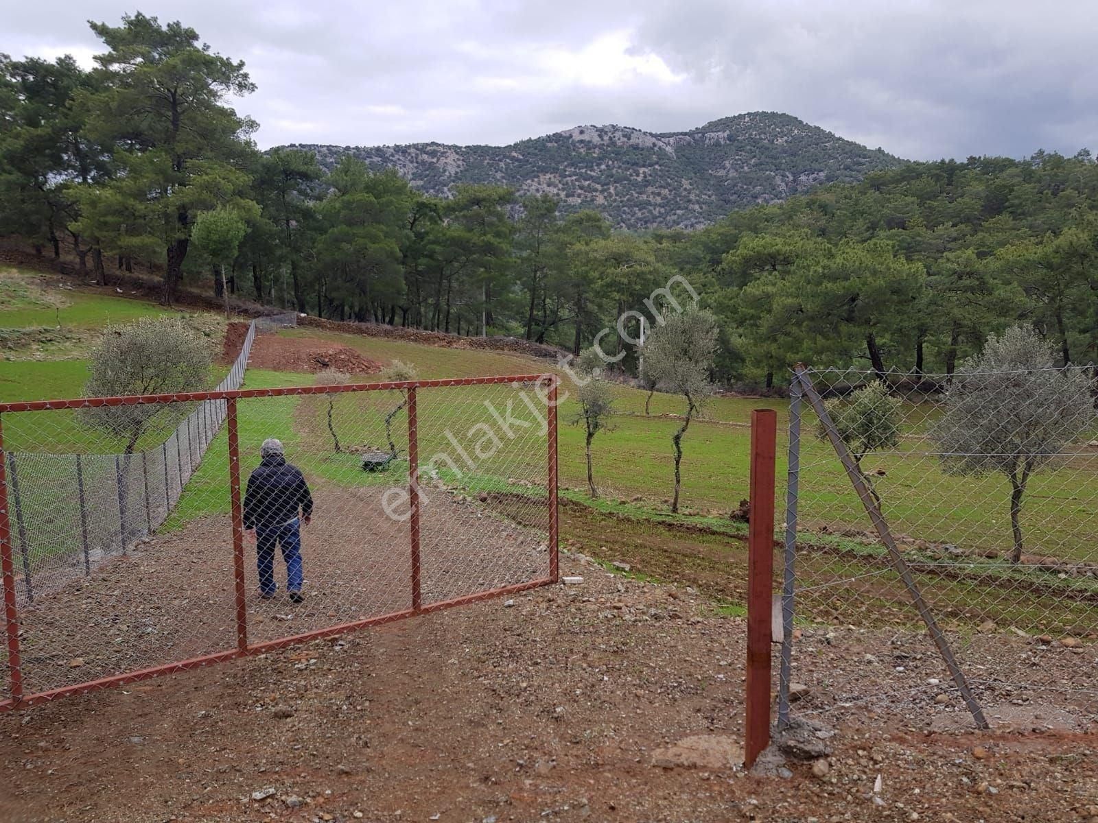 Muğla Ortaca Gökbel Mh De 3580m2 Tarla