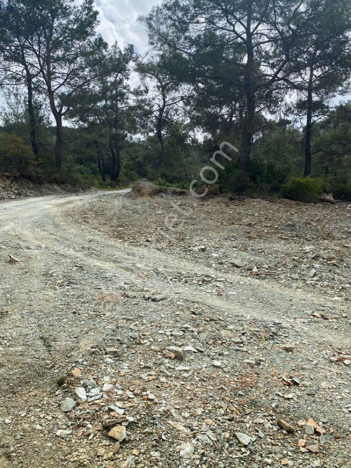 İzmir Selçuk Şirincede İster Çiflik İster Otel Yapın İmarlı Arazi - Görsel 2