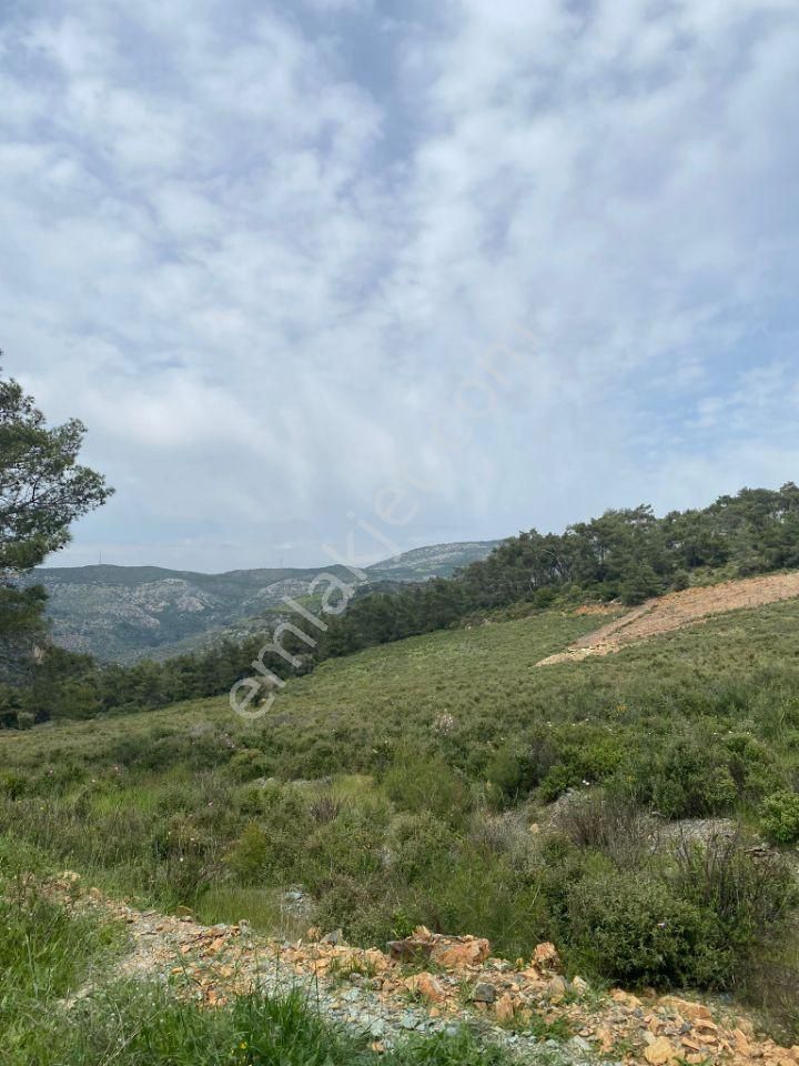 İzmir Selçuk Şirincede İster Çiflik İster Otel Yapın İmarlı Arazi - Görsel 8